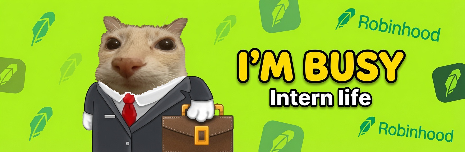 I'm Busy Intern life banner with the intern cat and Robinhood logos