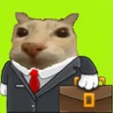 Intern cat mascot